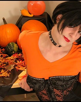 Pumpkin queen with tranny-dick in tights and spiderweb thigh highs.